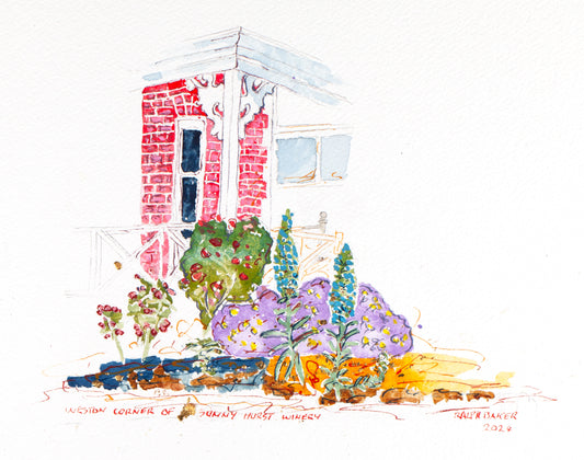 Sunnyhurst Winery, Bridgetown Vingette - Original